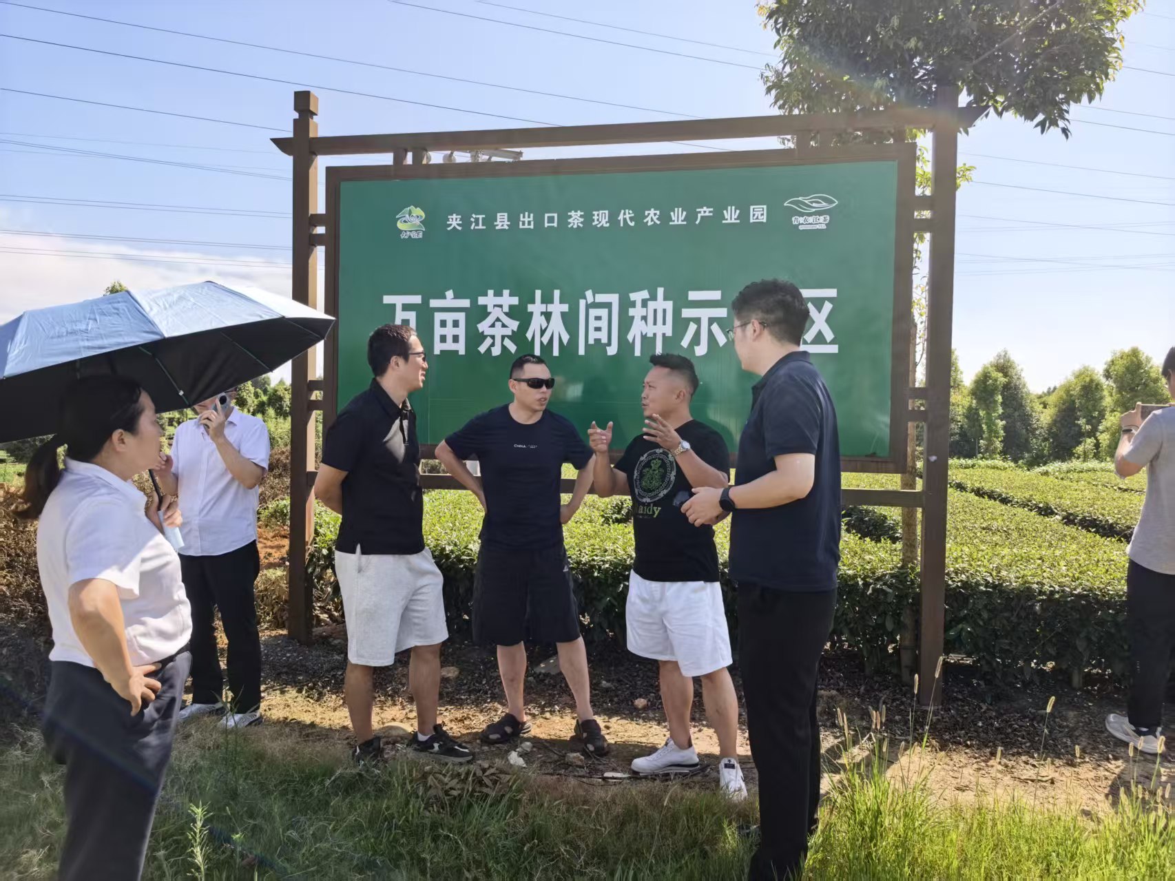民进夹江支部、民进乐山职业技术学院支部联合开展“光伏+农业”应用场景调研